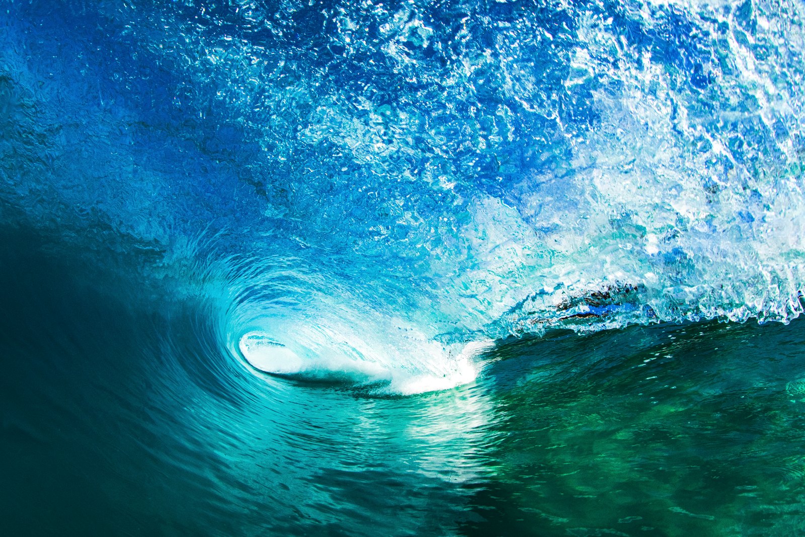 Clear blue ocean wave, evoking the Marine Placenta source.